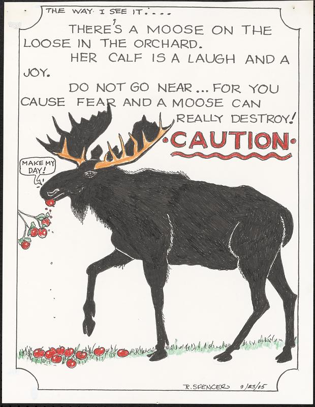 There's a moose on the loose in the orchard