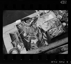 Fisherman's catch on boat, Monhegan Island, Maine