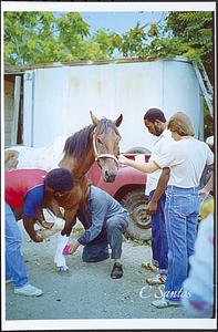 Andrew Howard, owner Charles McQuiggan behind horse, Charles Jackson, Skip, tending to Cheyenne