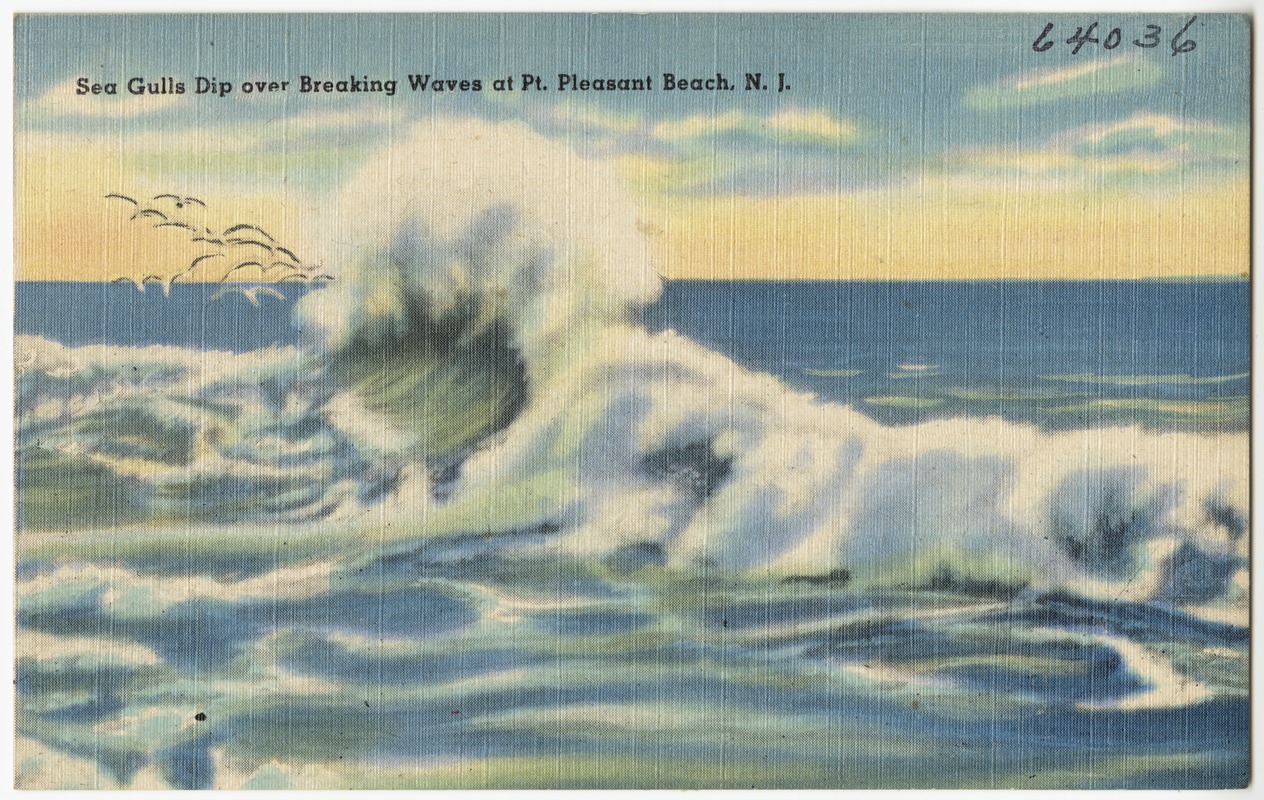 Sea gulls dip over breaking waves, Pt. Pleasant Beach, N. J. - Digital ...