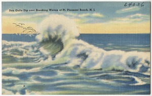 Sea gulls dip over breaking waves, Pt. Pleasant Beach, N. J.