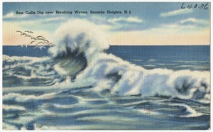 Sea gulls dip over breaking waves, Seaside Heights, N. J.