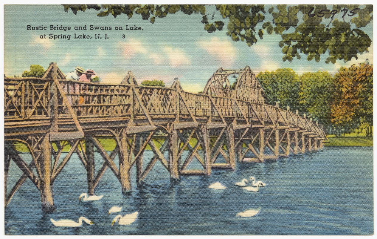 Rustic bridge and swans on lake at Spring Lake, N. J.