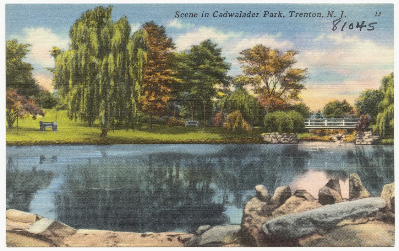 Scene in Cadwalader Park, Trenton, N. J.