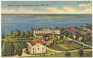 View of Connor's Cedar Grove, Water Witch, N. J.