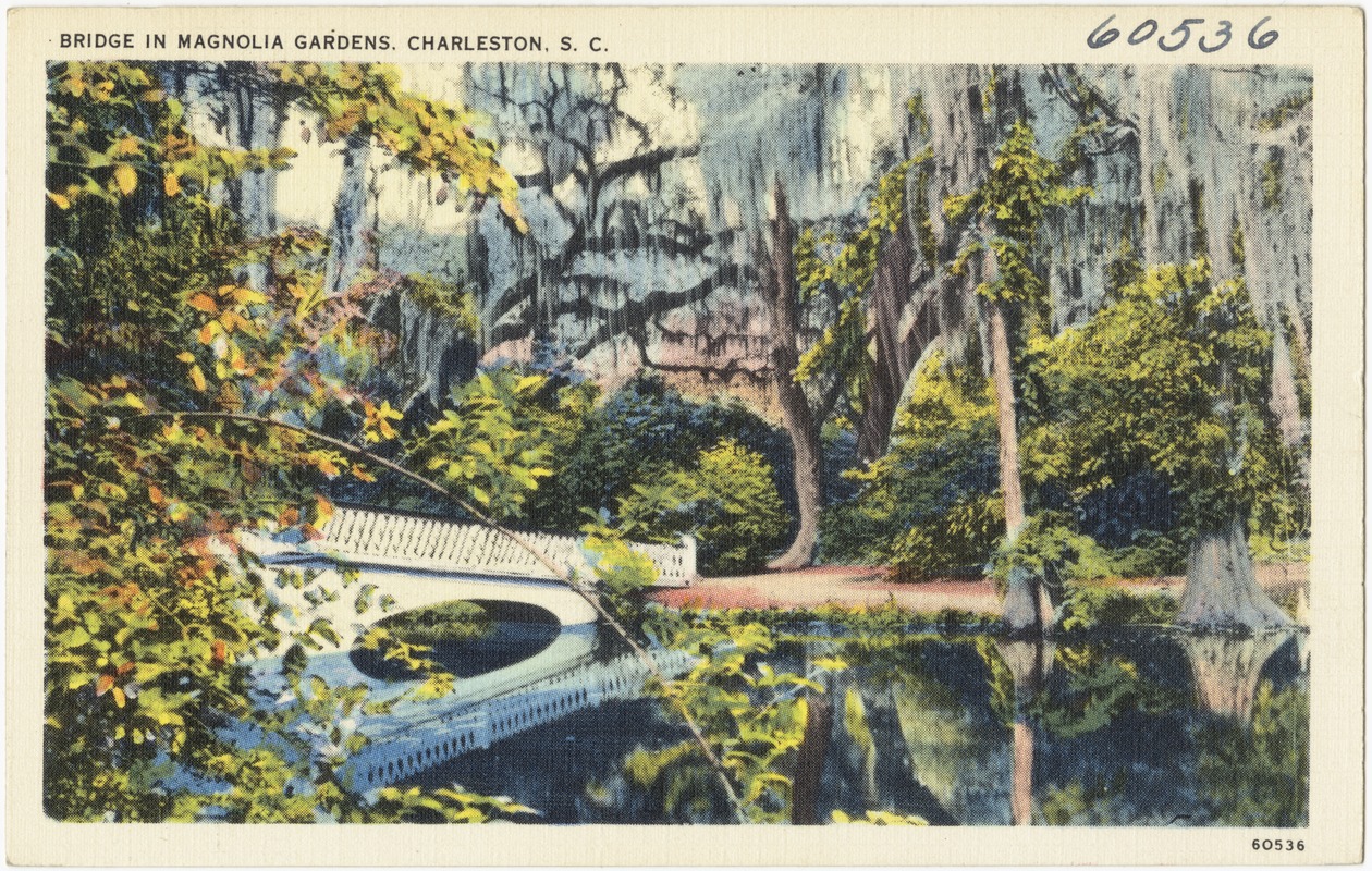Bridge in Magnolia Gardens, Charleston, S. C.
