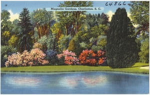 Magnolia Gardens, Charleston, S. C.