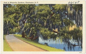 Path in Magnolia Gardens, Charleston, S. C.