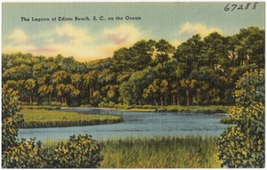 The lagoon at Edisto Beach, S. C., on the ocean