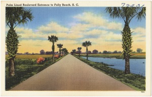Palm Lined Boulevard entrance to Folly Beach, S. C.