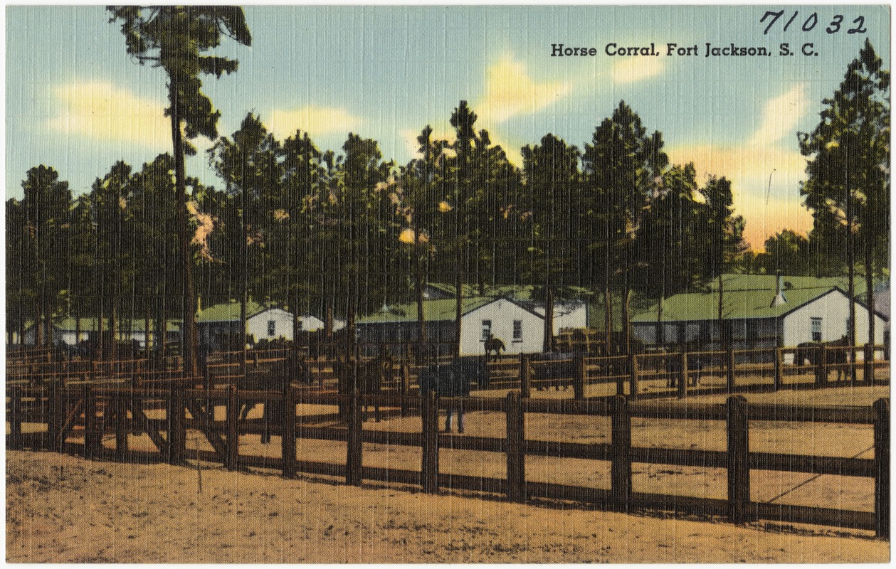 Horse corral, Fort Jackson, S. C.