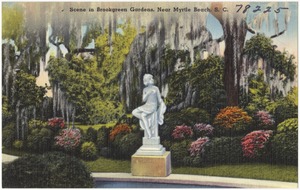 Scene in Brookgreen Gardens, near Myrtle Beach, S. C.