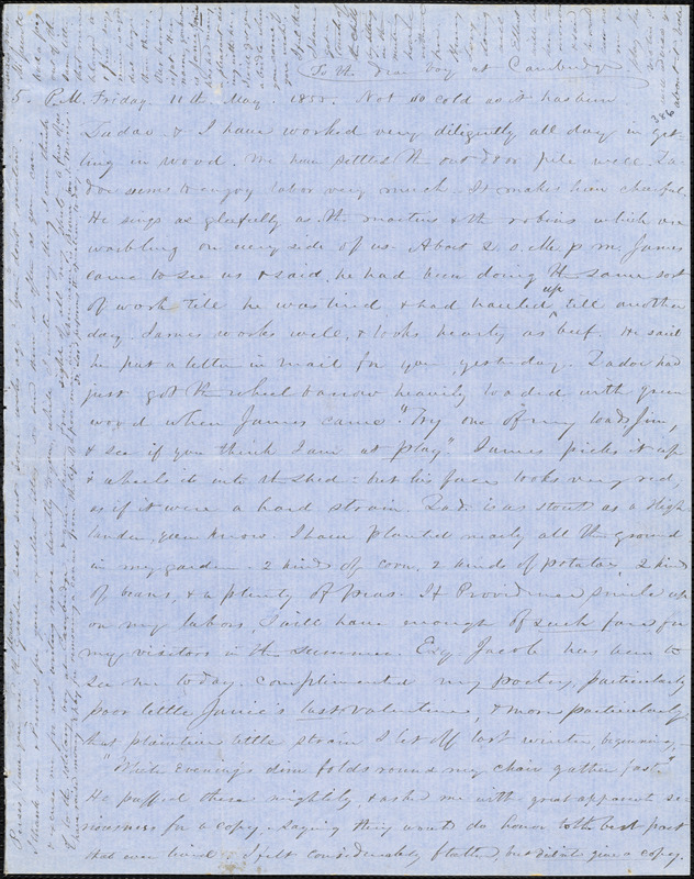 Letter from Zadoc Long and Julia Temple Davis Long to John D. Long, May 11, 1855