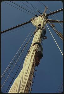 Late afternoon - return toward Boston includes furling sails