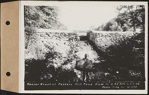 Beaver Brook at Pepper's mill pond dam, Ware, Mass., 8:45 AM, Jul. 1, 1936