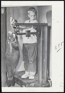 Little Louis Beatty, 7, of Glenshaw, Pa., looks at the combined weight of himself and the 30-pound carp he caught in the Allegheny River yesterday. Louis, weighing in at 59 pounds, landed the fish with a four-and-a-half-foot glass rod, a casting reel and light line.