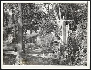 [illegible] of the hurricane damage in historic Sleepy Hollow cemetery, Concord, where Emerson, Thoreau, Hawthorne and the Alcotts are buried.