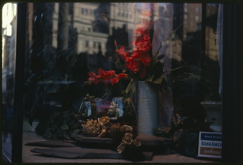 Flowers in a vase in a store window