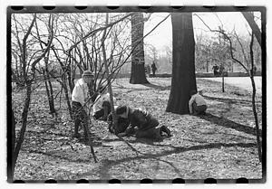 Egg hunt, Franklin Park