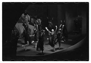 Follies