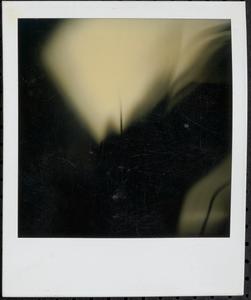 Blurry image of unidentified object