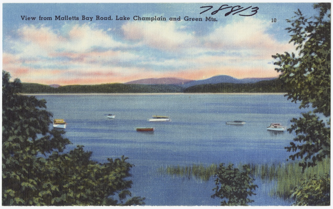 View From Malletts Bay Road, Lake Champlain And Green Mts. - Digital 