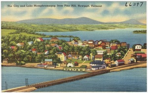 The city and Lake Memphremagog from Pine Hill, Newport, Vt.