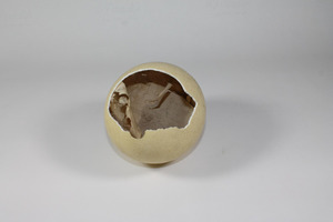 Ostrich Egg (interior view)