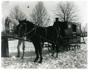 Fred Green and horse sleigh stage coach