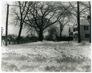 Winter streetscape