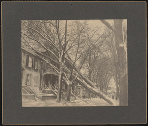 Seventh Street, New Bedford, after snow storm