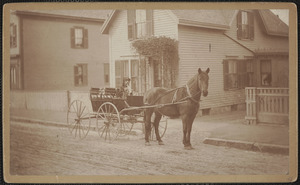 Dog and horse carriage