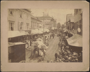 Circus Parade, looking north on Purchase from Union