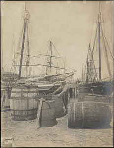 Coopering oil on the wharf