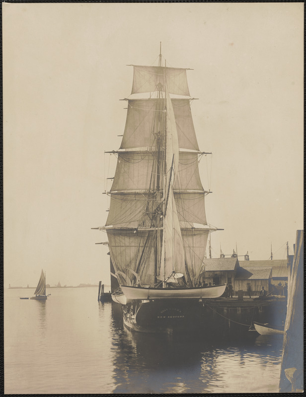 Greyhound drying sails