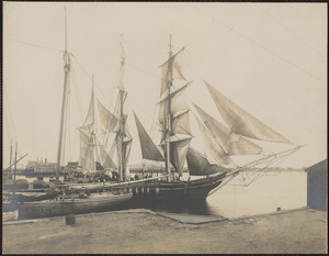 Sunbeam drying sails