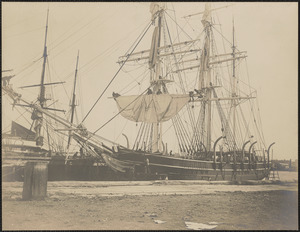 Whaling ships at wharf