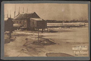 Fish Island as it appeared in the winter of 1892