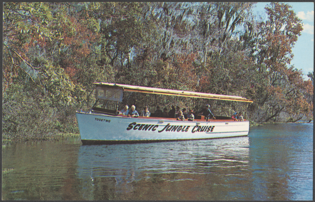 Silver Springs