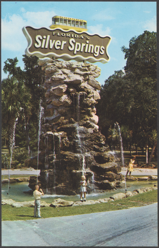 Florida's Silver Springs