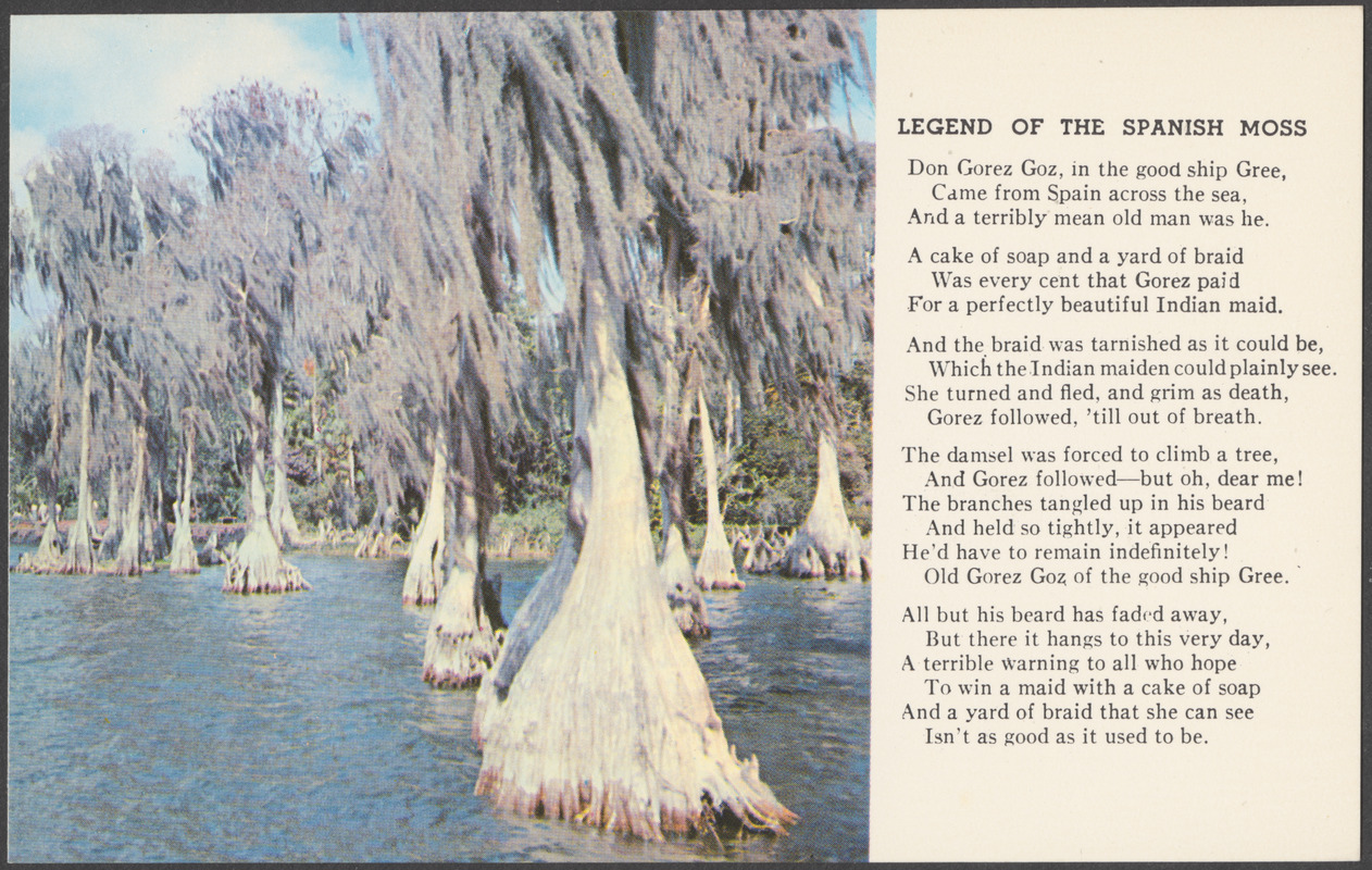 Legend of the Spanish moss Digital Commonwealth