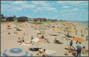 Bathing beach and cottages