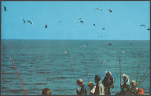 Seagulls flying over water and people with fishing rods
