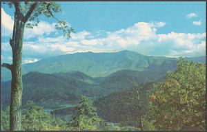 Mount Le Conte