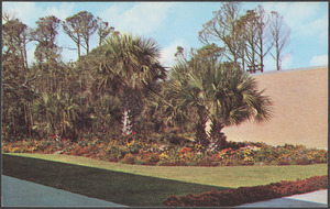 Jekyll Island, Ga.