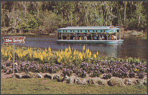 Visitors to famous Silver Springs get an intimate view of the underwater wonderland through the glass bottom boats