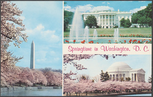 Springtime in Washington, D.C.