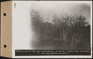 Shore line of Beaver Lake, Ware, Mass., Jun. 23, 1936