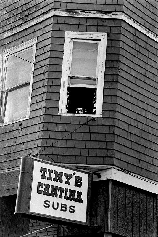 Tiny's Cantina Digital Commonwealth