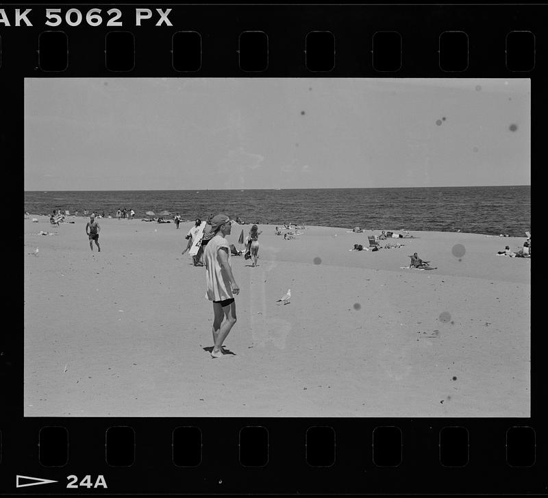 Plum Island beach scene